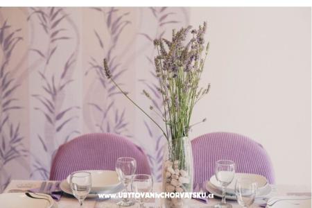 Ana Apartments photo 2