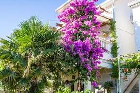 Apartment Gita -Ston House photo 2