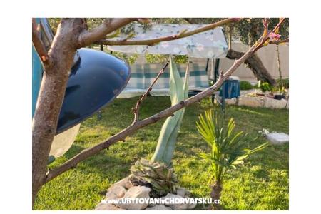 Apartments Jabuka photo 5