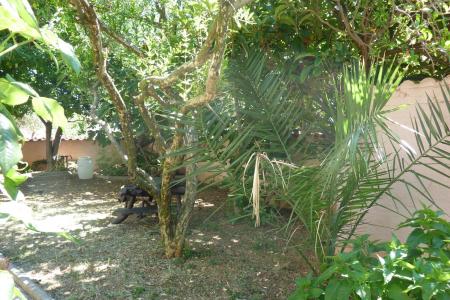 Apartments Kresović photo 5