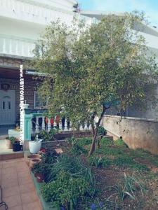 Apartments Marijana Alaga photo 3
