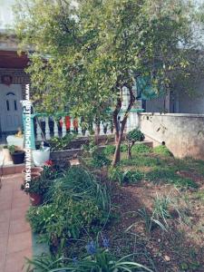 Apartments Marijana Alaga photo 4
