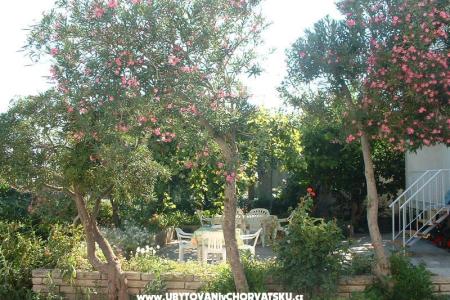 Apartments 21 Vodice photo 2