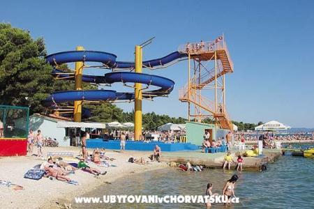 apartmani Branko photo 4