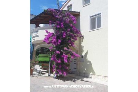 Apartments  Vesna  photo 2