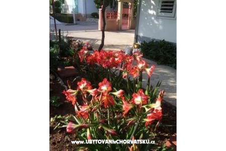 Villa Tanja *** photo 4