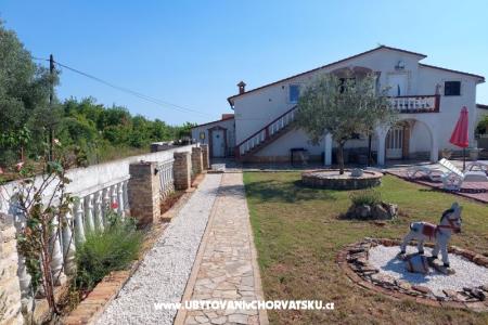 Apartments Chipo photo 2