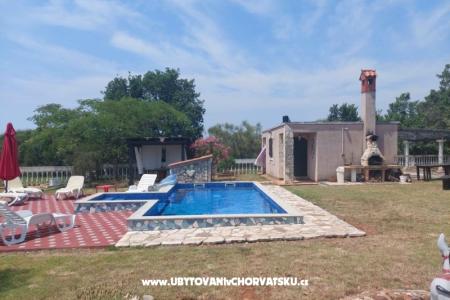 Apartments Chipo photo 4