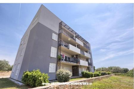 Casadigioia Apartments photo 3