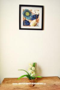 Apartment Luna photo 5