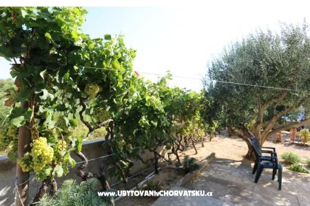 Apartment Radobuljac Vrsi  photo 3