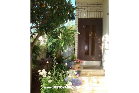 Apartments Andredor photo 4