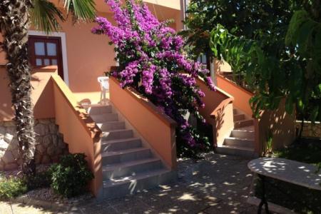 Apartments Riva photo 2