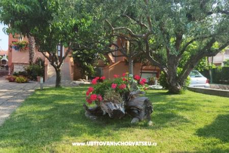Apartments Riva photo 3
