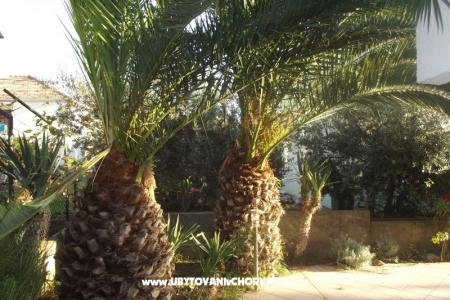 Apartments Borik photo 2