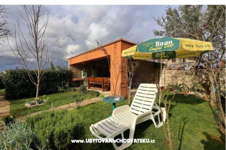 Apartment Garden photo 2