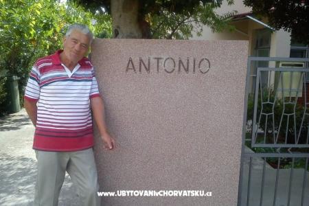 Apartments and rooms Antonio photo 3