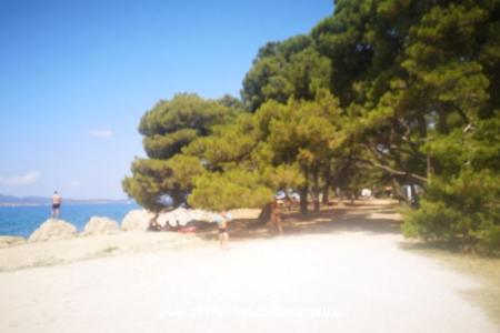 Apartments Asea Zadar photo 5