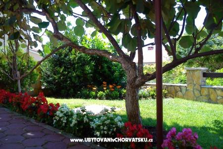 Zadar Apartments Buljan photo 5