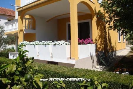 Apartments Antonia photo 2