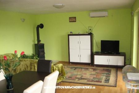 Elvis - Zadar photo 3