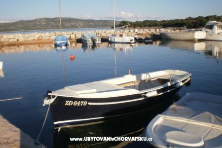 House Branka photo 4