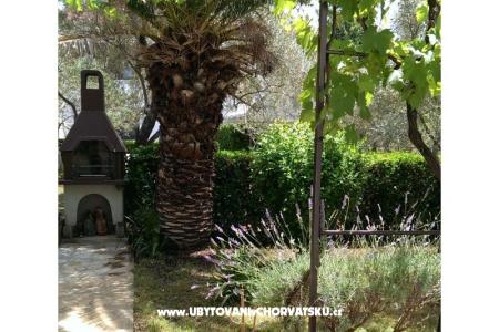 Nevena Apartments photo 5