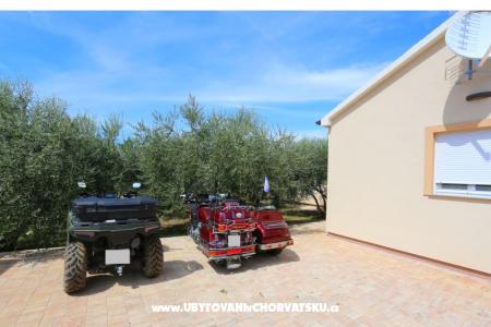 Snježana Zadar Croatia