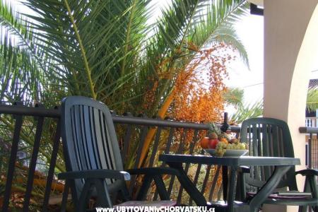 Villa Dalmatia photo 2