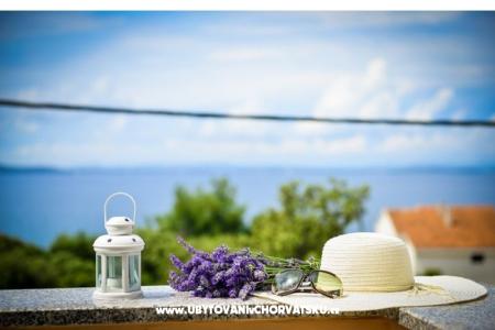 Villa IBIS photo 5