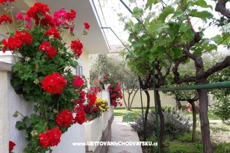 Villa Rosemarino photo 4