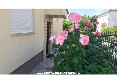 Villa Rosemarino photo 5