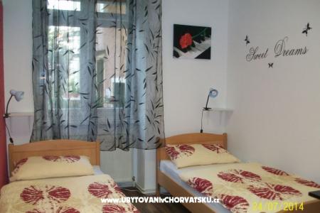 Chameleon hostel photo 3