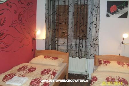 Chameleon hostel photo 4