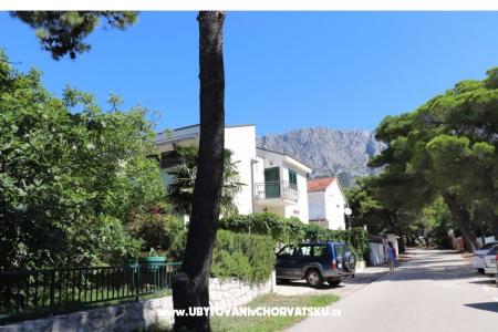 Apartments Anita photo 3