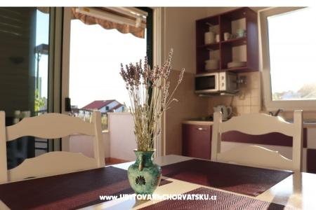 Apartments Anita photo 5
