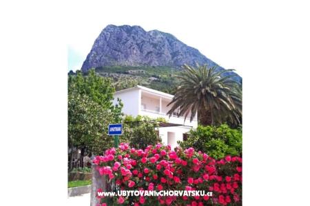 Love Zaostrog photo 2