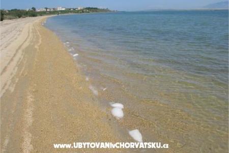 Apartments Gloria photo 2