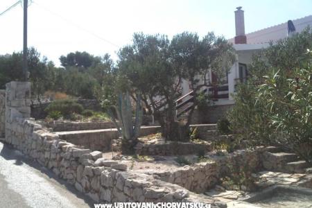 Villa Sonia Kaprije photo 4