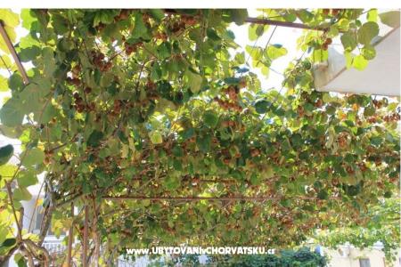 Apartments DEMS 1 photo 5