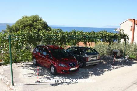 Apartments Ivop photo 3