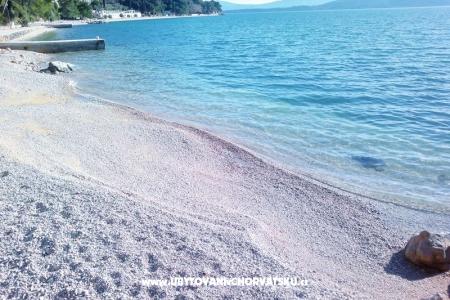 Apartments Anita photo 5