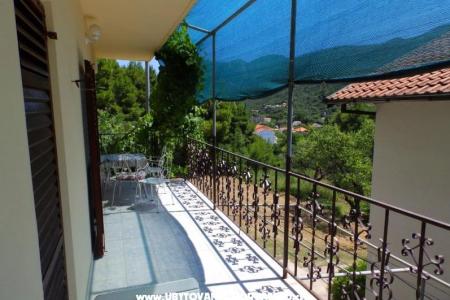 Apartments Dalmatin photo 3