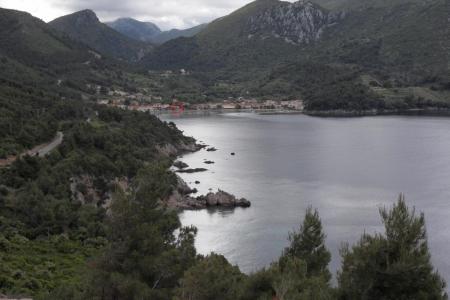 Apartments Uvala photo 4