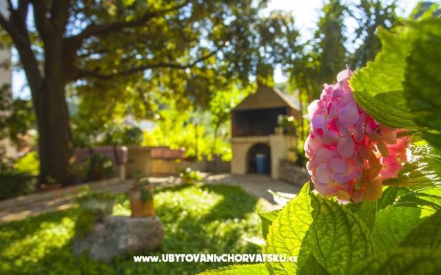 Family Beroš Friendly Place – Accommodation Baska Voda Kroatië