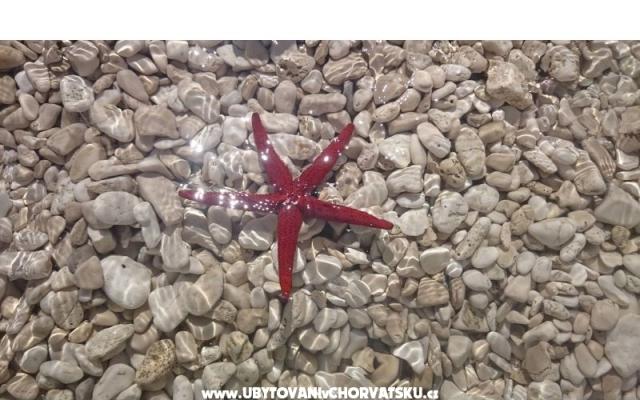 Vacation house Delić – Accommodation Dugi Rat Kroatië