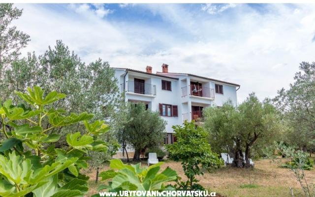 Apartments Amalia Fažana – Accommodation Fazana Kroatië