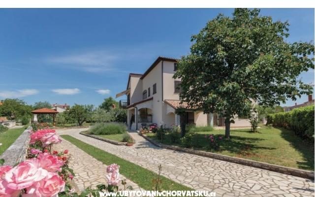 Apartment NIKOLIC – Accommodation Fazana Kroatië