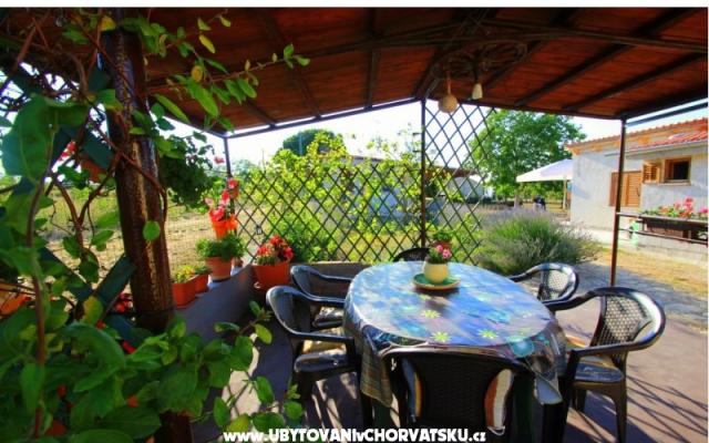 Apartment Sandra  – Accommodation Fazana Kroatië