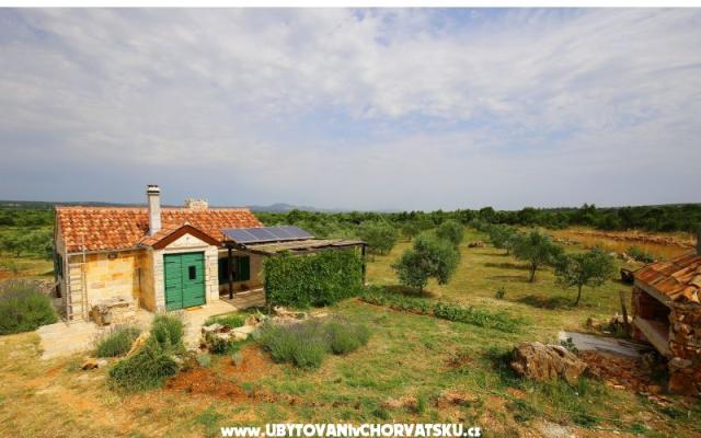 Olive Garden Paljka – Accommodation Sv. Filip i Jakov Kroatië